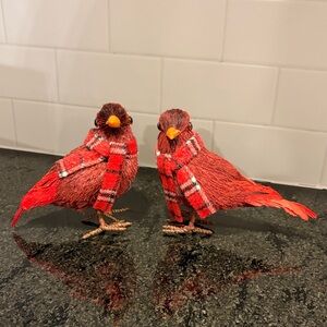 Festive Cardinals with Scarves